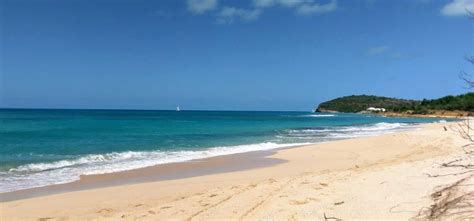 nude beaches antigua|Naturist Eden Beach Antigua